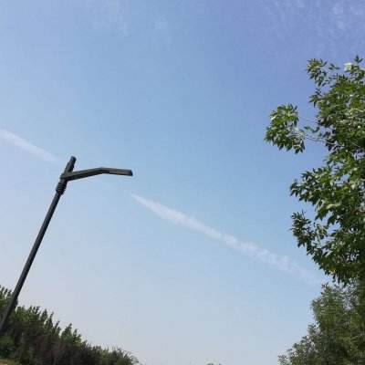 chicken gun最新版下载